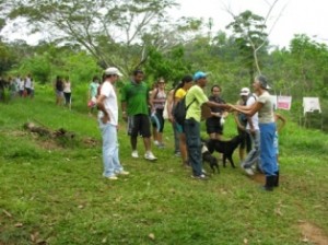Imagem 070